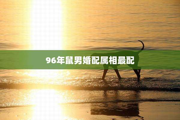 96年鼠男婚配属相最配