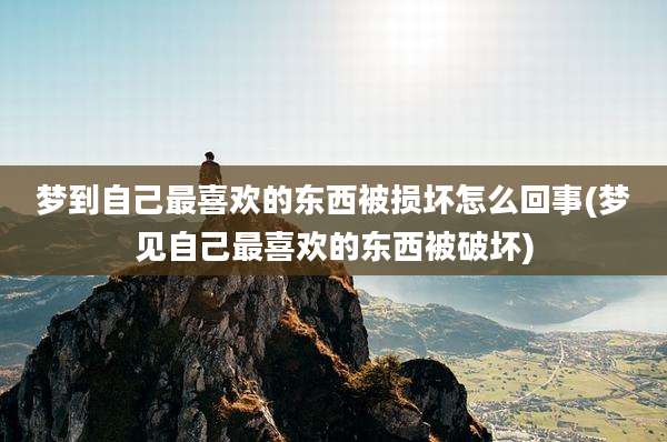 梦到自己最喜欢的东西被损坏怎么回事(梦见自己最喜欢的东西被破坏)