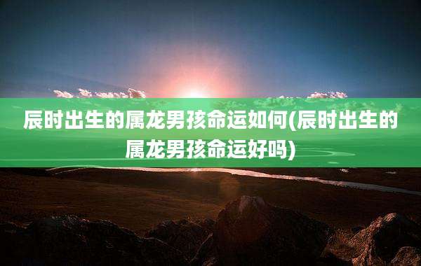 辰时出生的属龙男孩命运如何(辰时出生的属龙男孩命运好吗)