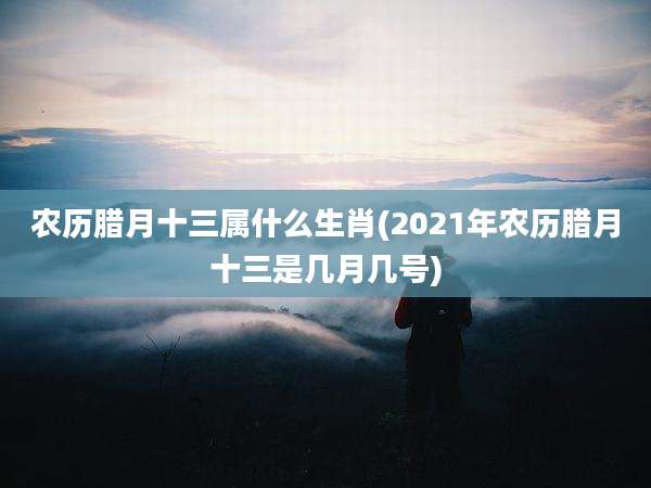 农历腊月十三属什么生肖(2021年农历腊月十三是几月几号)