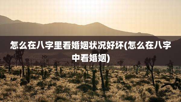怎么在八字里看婚姻状况好坏(怎么在八字中看婚姻)