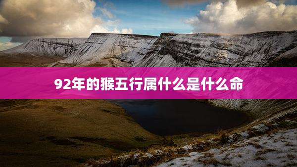 92年的猴五行属什么是什么命