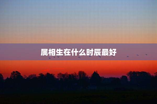 属相生在什么时辰最好