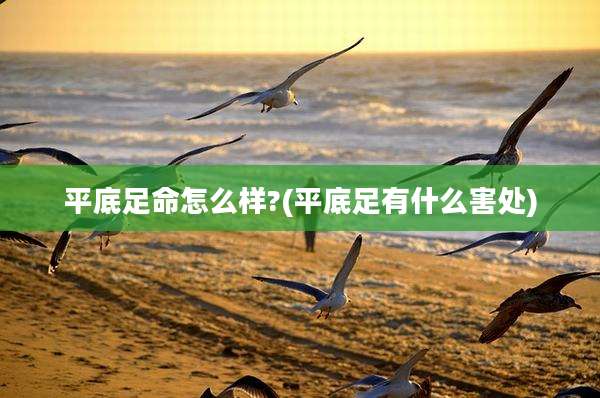 平底足命怎么样?(平底足有什么害处)