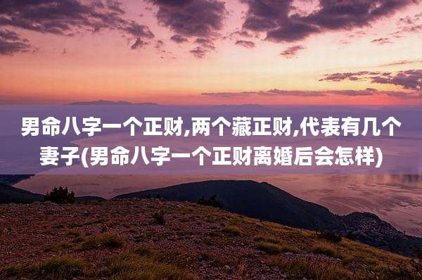 男命八字一个正财,两个藏正财,代表有几个妻子(男命八字一个正财离婚后会怎样)