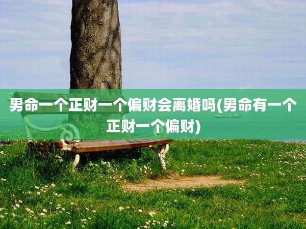男命一个正财一个偏财会离婚吗(男命有一个正财一个偏财)