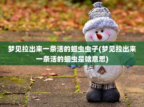 梦见拉出来一条活的蛔虫虫子(梦见拉出来一条活的蛔虫是啥意思)
