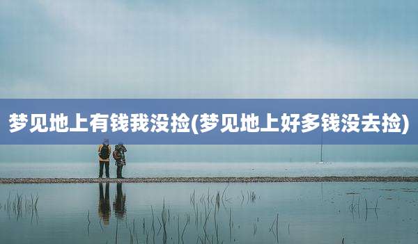 梦见地上有钱我没捡(梦见地上好多钱没去捡)