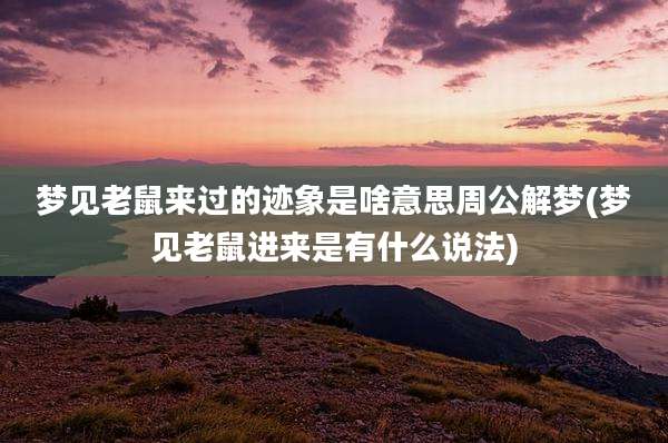 梦见老鼠来过的迹象是啥意思周公解梦(梦见老鼠进来是有什么说法)