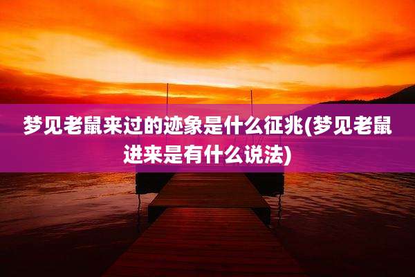 梦见老鼠来过的迹象是什么征兆(梦见老鼠进来是有什么说法)