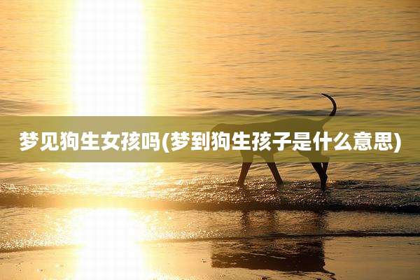 梦见狗生女孩吗(梦到狗生孩子是什么意思)