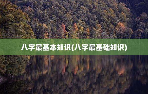 八字最基本知识(八字最基础知识)