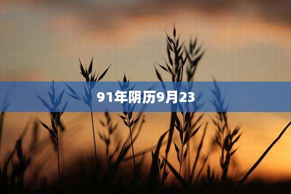 91年阴历9月23