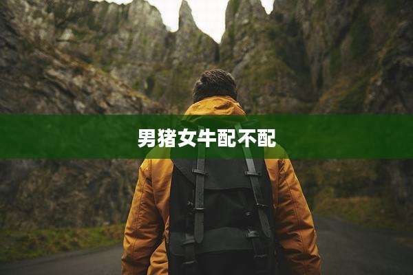 男猪女牛配不配