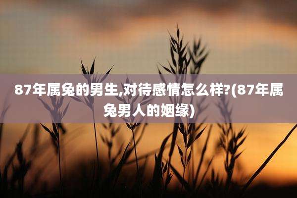 87年属兔的男生,对待感情怎么样?(87年属兔男人的姻缘)