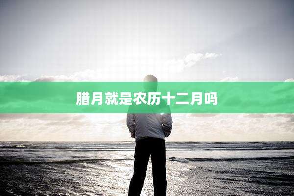 腊月就是农历十二月吗