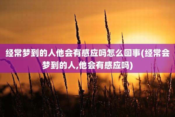 经常梦到的人他会有感应吗怎么回事(经常会梦到的人,他会有感应吗)