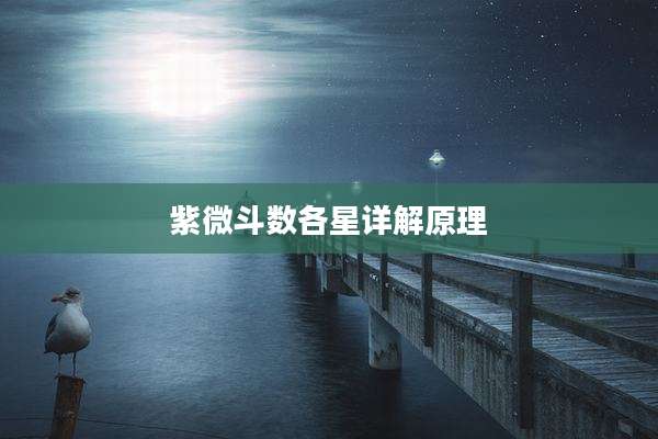 紫微斗数各星详解原理