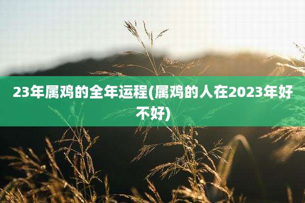 23年属鸡的全年运程(属鸡的人在2023年好不好)