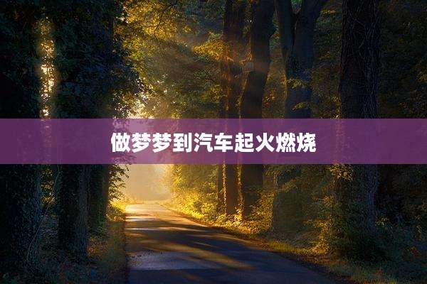 做梦梦到汽车起火燃烧