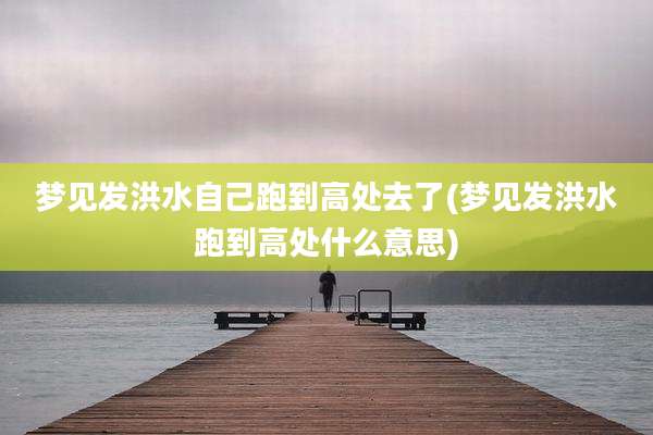 梦见发洪水自己跑到高处去了(梦见发洪水跑到高处什么意思)