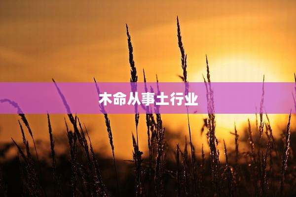 木命从事土行业