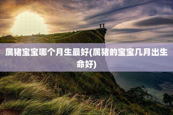 属猪宝宝哪个月生最好(属猪的宝宝几月出生命好)
