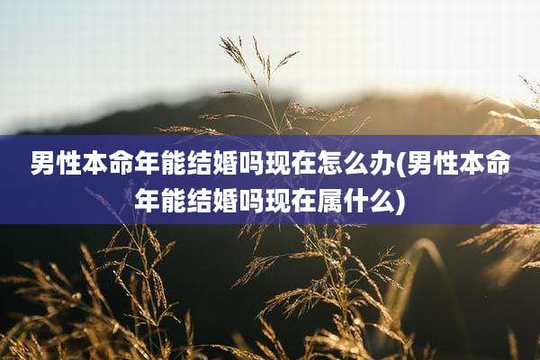 男性本命年能结婚吗现在怎么办(男性本命年能结婚吗现在属什么)