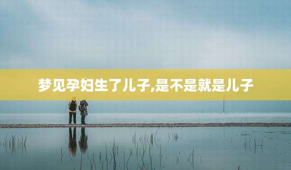 梦见孕妇生了儿子,是不是就是儿子
