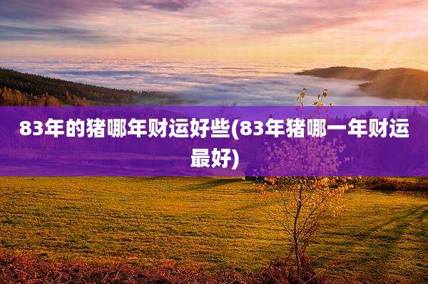 83年的猪哪年财运好些(83年猪哪一年财运最好)