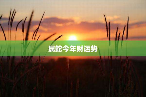 属蛇今年财运势