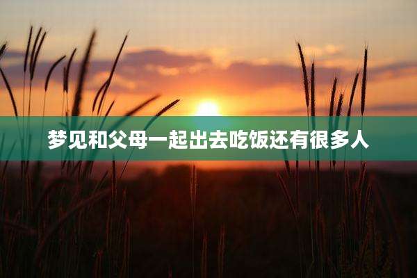 梦见和父母一起出去吃饭还有很多人
