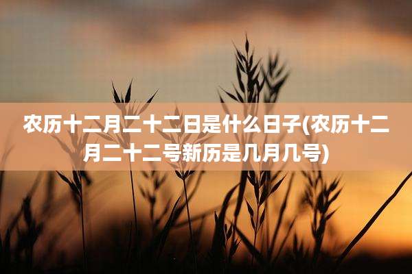 农历十二月二十二日是什么日子(农历十二月二十二号新历是几月几号)