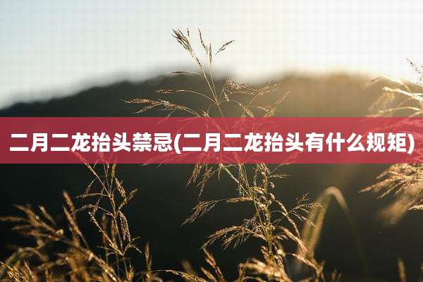 二月二龙抬头禁忌(二月二龙抬头有什么规矩)
