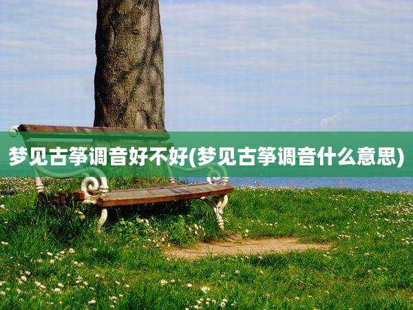 梦见古筝调音好不好(梦见古筝调音什么意思)