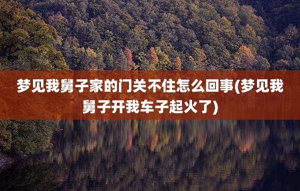 梦见我舅子家的门关不住怎么回事(梦见我舅子开我车子起火了)