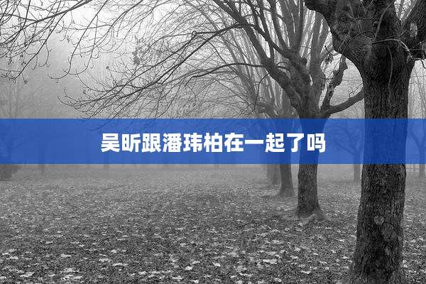 吴昕跟潘玮柏在一起了吗