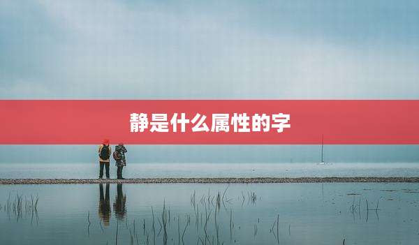 静是什么属性的字