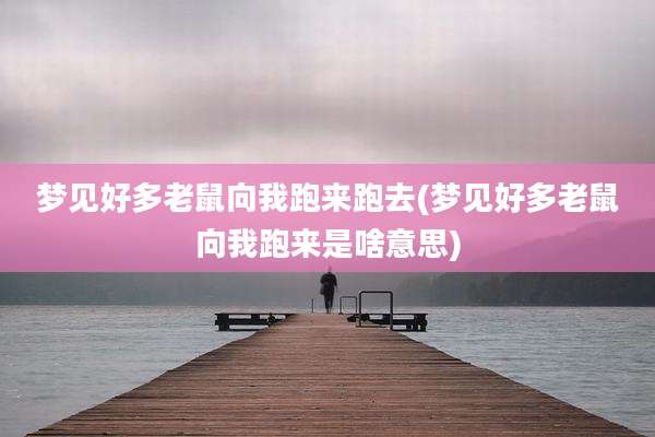 梦见好多老鼠向我跑来跑去(梦见好多老鼠向我跑来是啥意思)