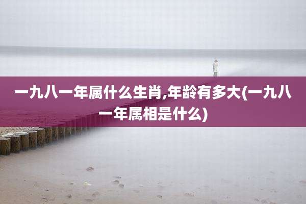 一九八一年属什么生肖,年龄有多大(一九八一年属相是什么)