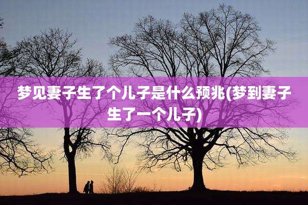 梦见妻子生了个儿子是什么预兆(梦到妻子生了一个儿子)