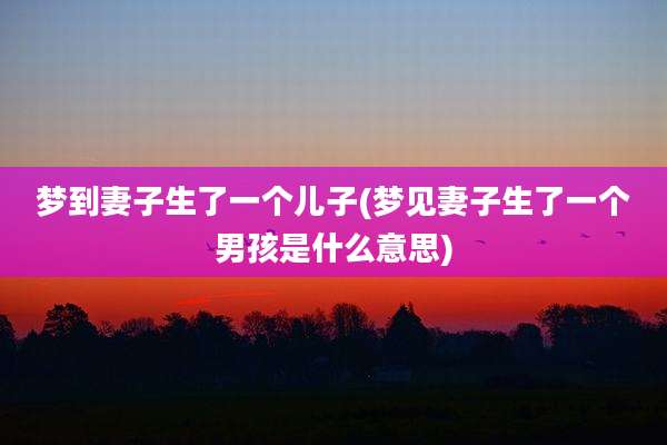 梦到妻子生了一个儿子(梦见妻子生了一个男孩是什么意思)