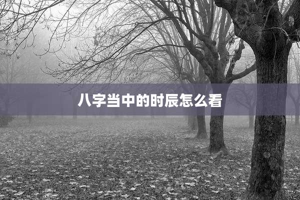八字当中的时辰怎么看