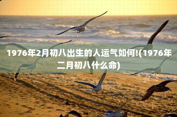 1976年2月初八出生的人运气如何!(1976年二月初八什么命)