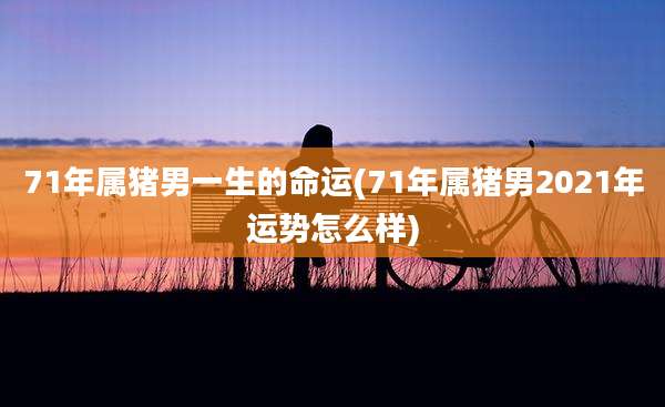 71年属猪男一生的命运(71年属猪男2021年运势怎么样)