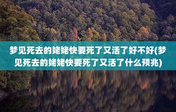 梦见死去的姥姥快要死了又活了好不好(梦见死去的姥姥快要死了又活了什么预兆)