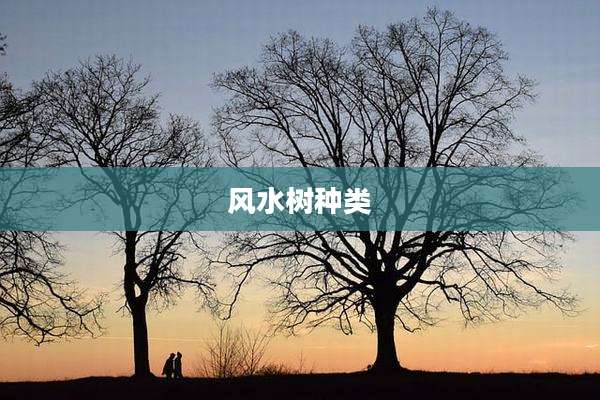 风水树种类