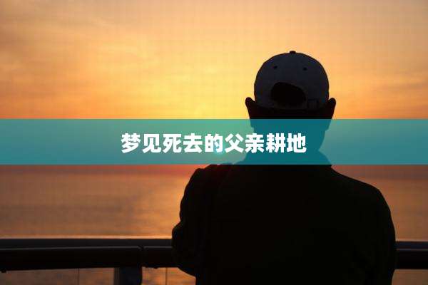 梦见死去的父亲耕地