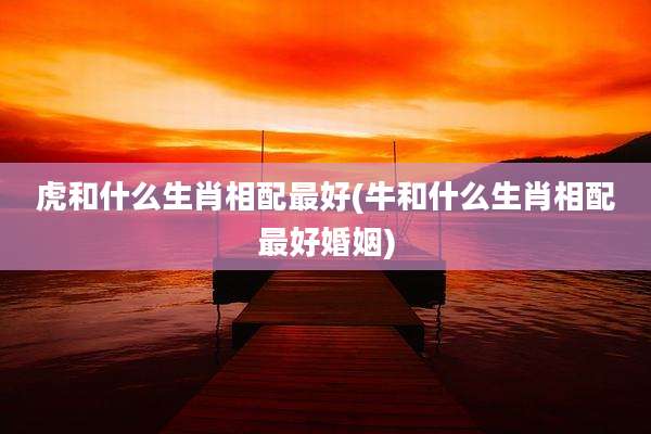 虎和什么生肖相配最好(牛和什么生肖相配最好婚姻)