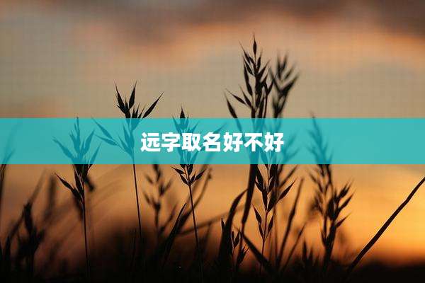 远字取名好不好